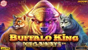 Stampede Emas: Mengejar Jackpot di Balik Fenomena Gacor Buffalo King